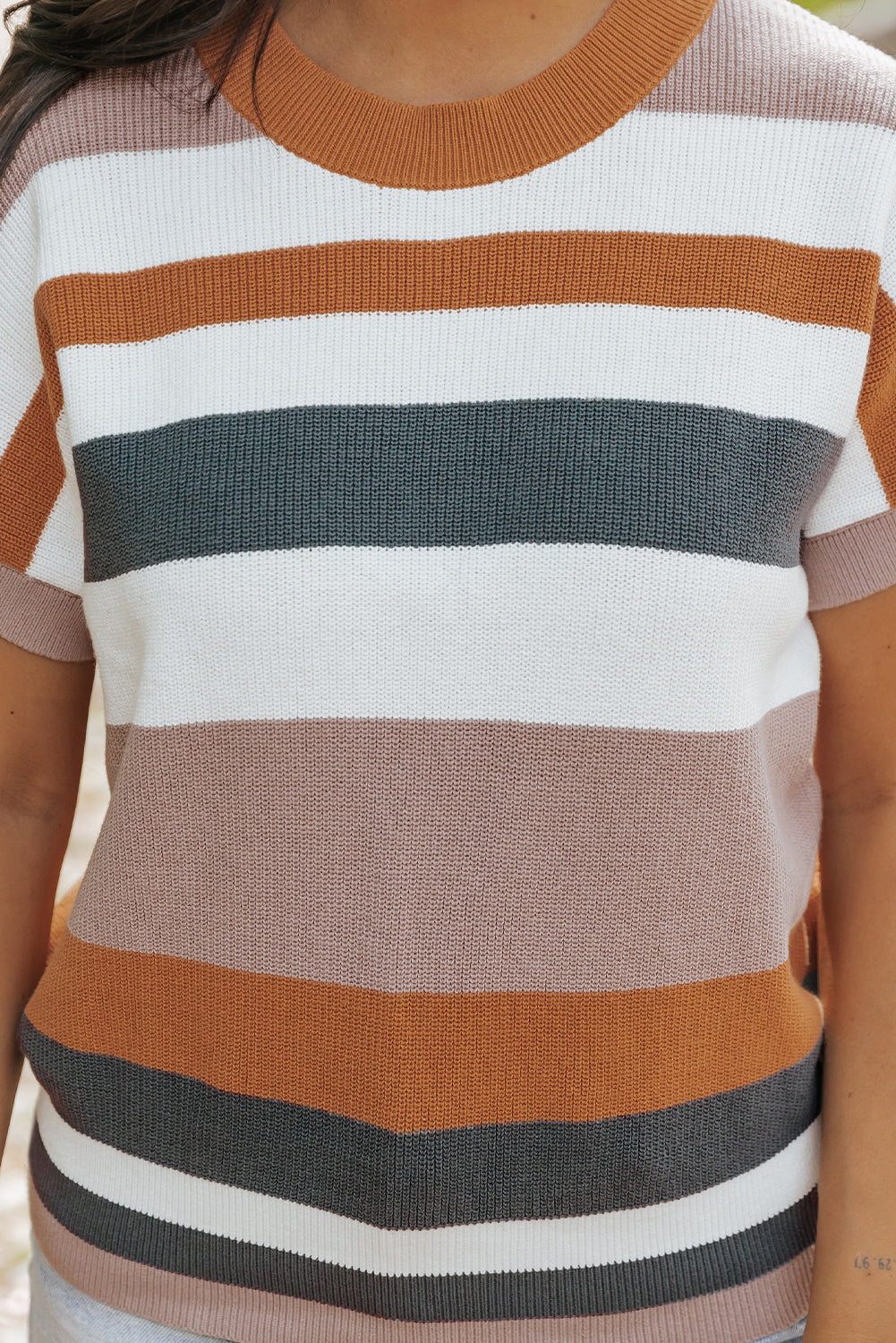 Camel Striped Knit Crew Neck T Shirt Sweater